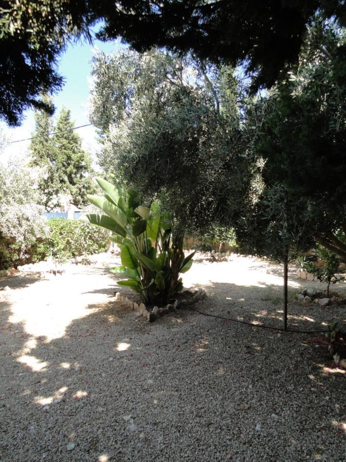 Maison Calme Et Reposante Essaouira Eksteriør billede