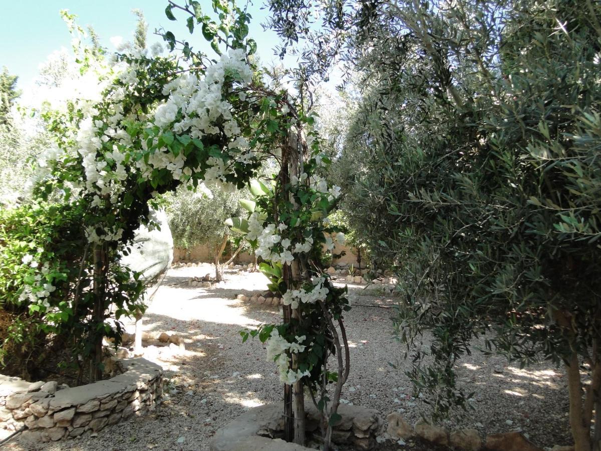 Maison Calme Et Reposante Essaouira Eksteriør billede